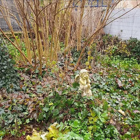 Tres Bel Avec Son Jardin Et Jacuzzi En Plein Centre De Apartment